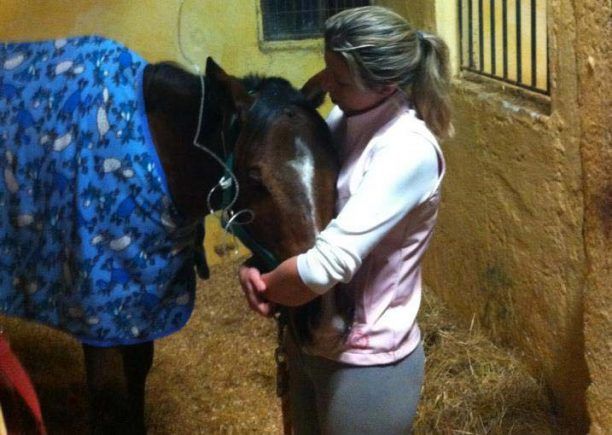 Κορωπί: Ευθανάτωσαν το άλογο για να το απαλλάξουν από το μαρτύριο του